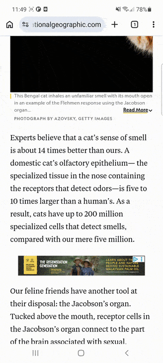 Sharing selected text from Chrome to PastReads